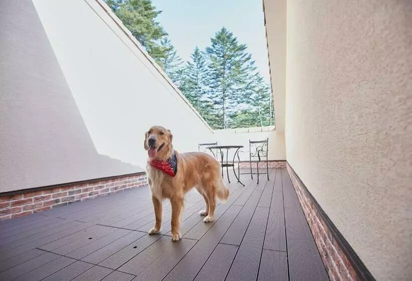 Hotelli Le Chien Kyukaruizawa