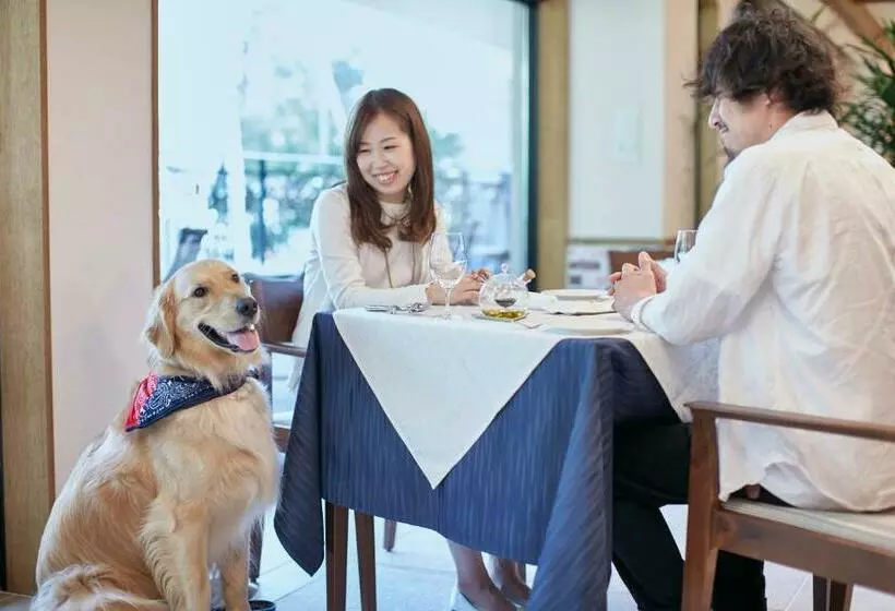 Hotelli Le Chien Kyukaruizawa