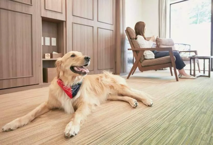 Hotelli Le Chien Kyukaruizawa