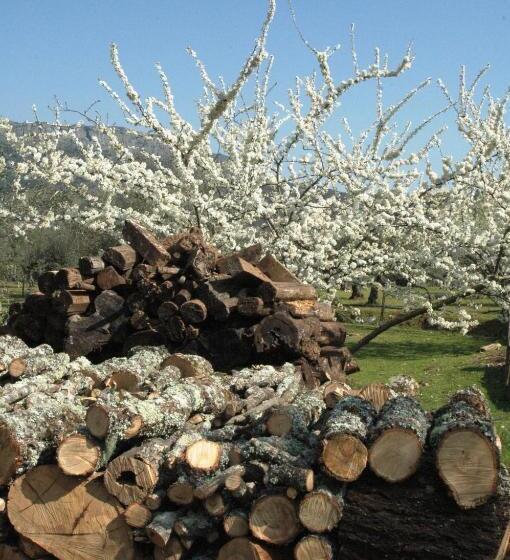 هتل Quinta Do Vaqueirinho Agro Turismo