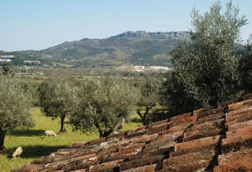 ホテル Quinta Do Vaqueirinho   Agro Turismo