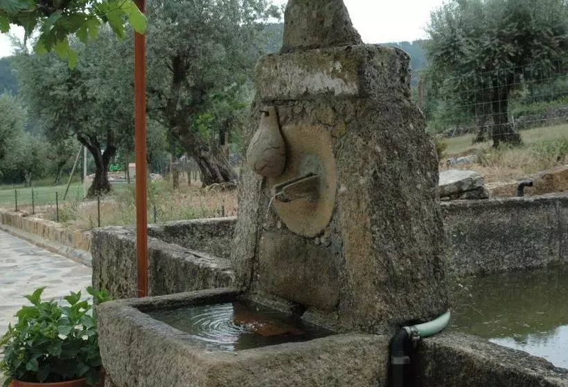 ホテル Quinta Do Vaqueirinho   Agro Turismo