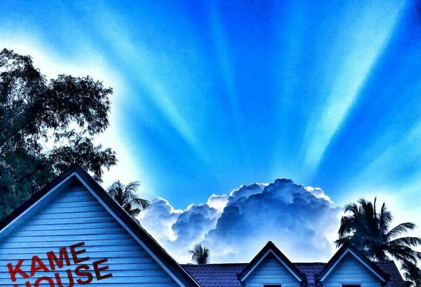 Kame House Hostel
