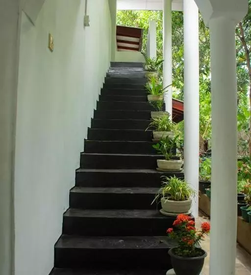 پانسیون 98 Home Lodge Dambulla