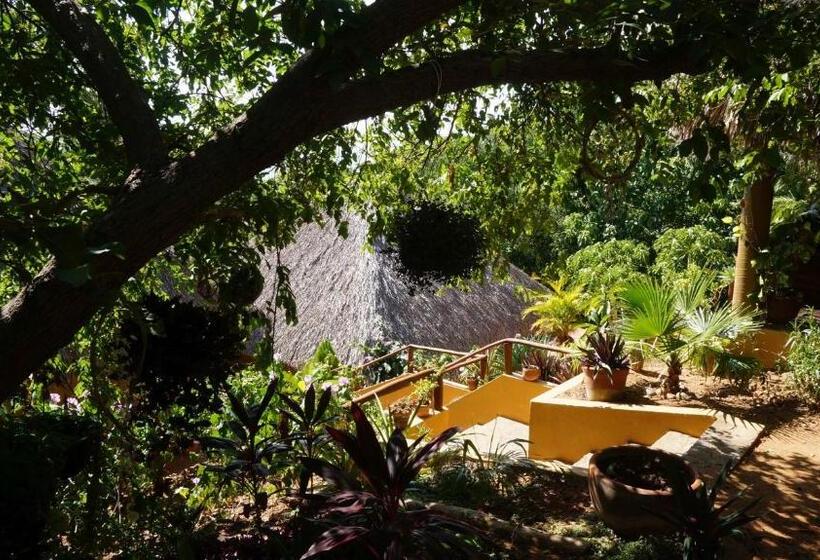 פנסיון Casa Aditi