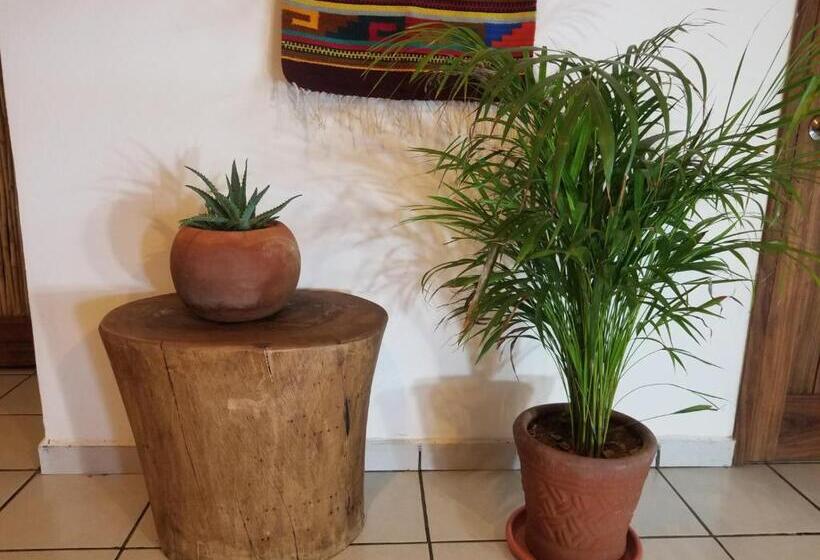 פנסיון Casa Aditi