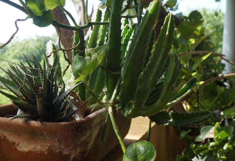 פנסיון Casa Aditi