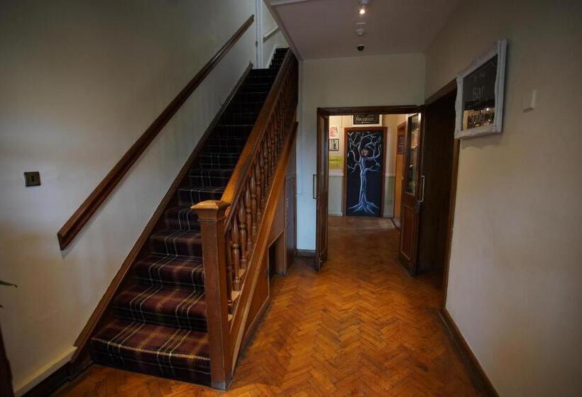 مبيت وإفطار Horton Inn