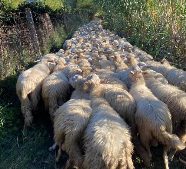 فندق Agriturismo Orvile