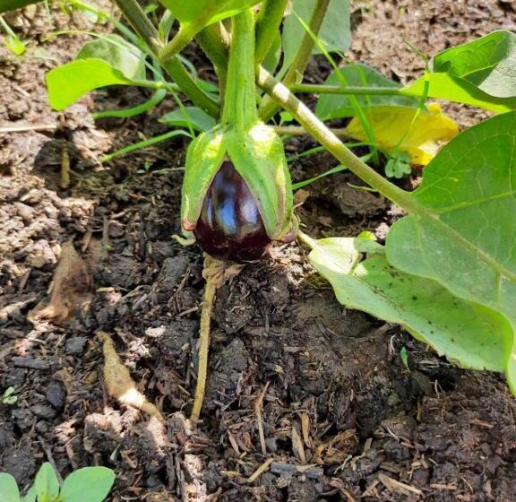 فندق Agriturismo Orvile