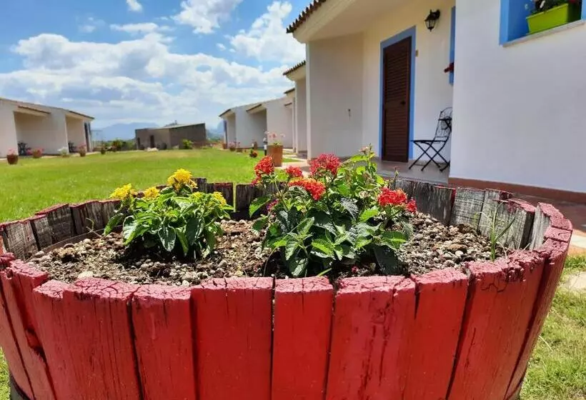 ホテル Agriturismo Orvile