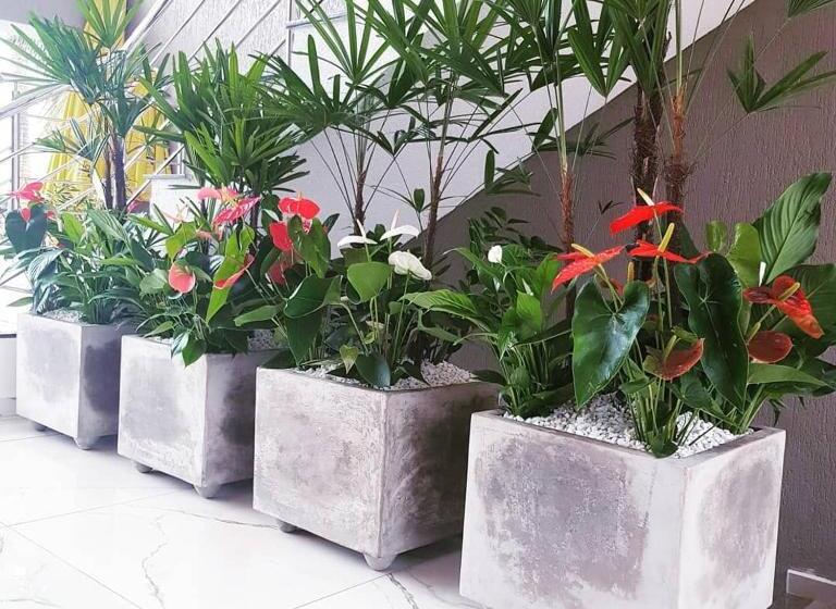 Otel Villa Das Termas Machadinho