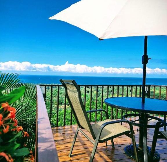 Отель Vista Ballena