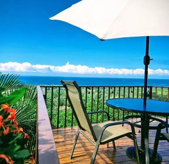 Hotelli Vista Ballena