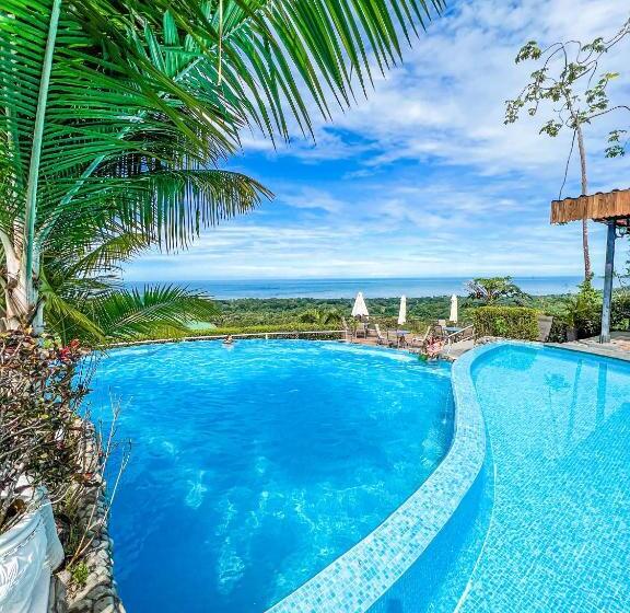 Отель Vista Ballena