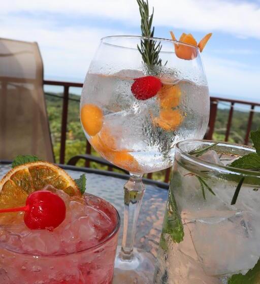 Отель Vista Ballena