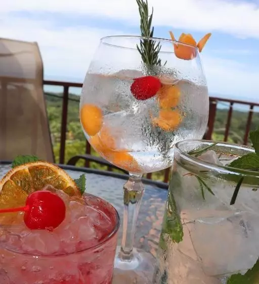 Hotelli Vista Ballena