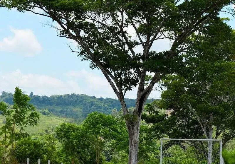 Viver Mais Hotel Fazenda