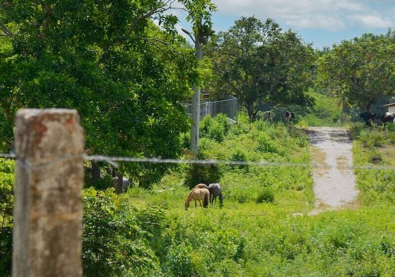 Viver Mais Hotel Fazenda