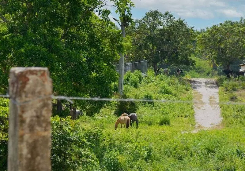 Viver Mais Hotel Fazenda