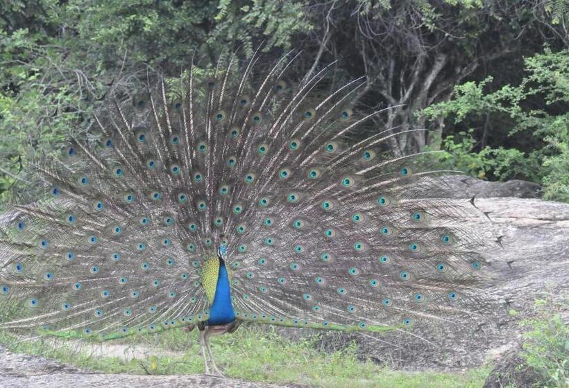 Wild Grass Nature Resort