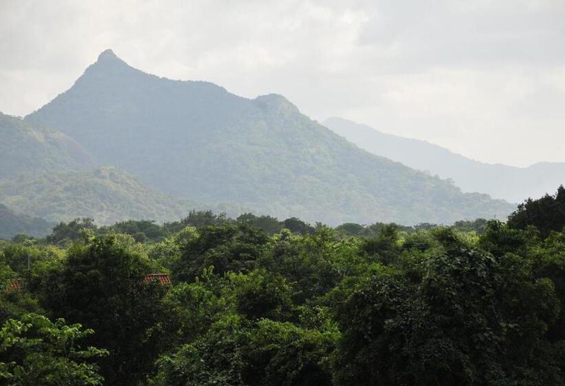 Wild Grass Nature Resort