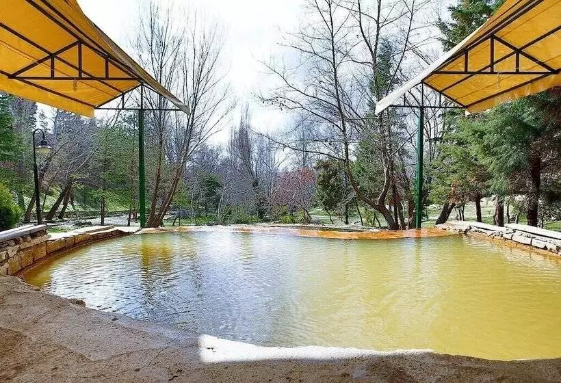 ベッドアンドブレックファースト Queen Thermal Resort Hotel & Spa