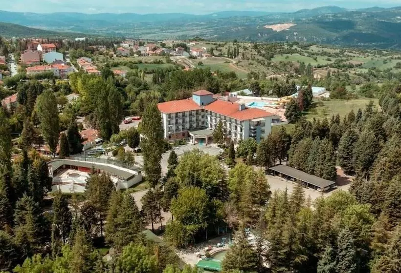 ベッドアンドブレックファースト Queen Thermal Resort Hotel & Spa