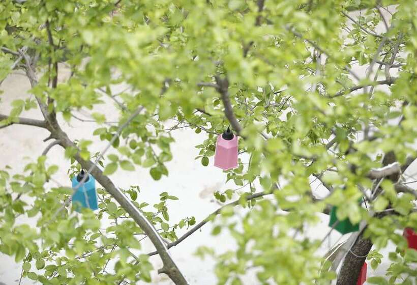 호텔 Ahsen Pansiyon