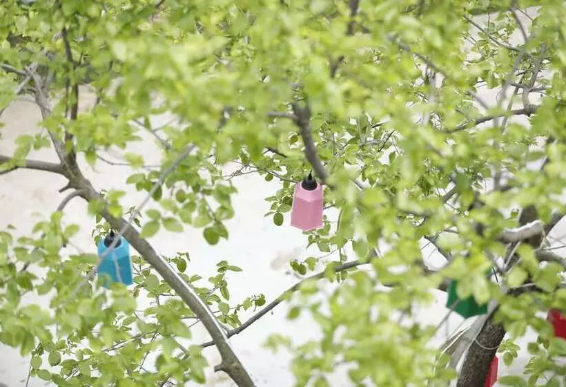 Hotelli Ahsen Pansiyon