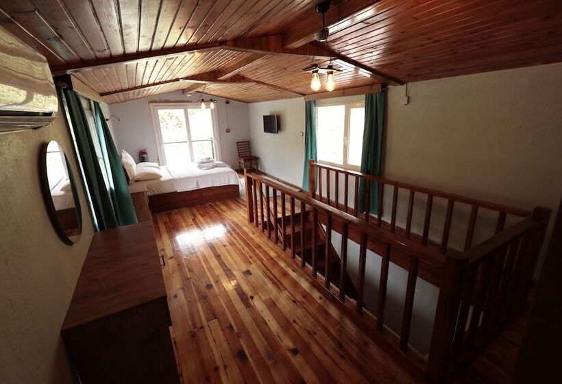 Отель Ahsen Pansiyon