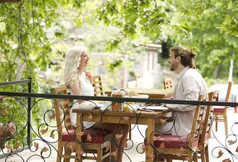 Hotelli Ahsen Pansiyon