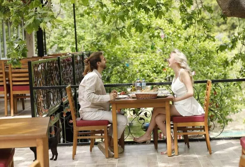 Hotelli Ahsen Pansiyon