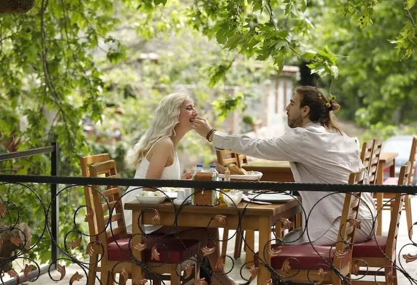 Hotelli Ahsen Pansiyon