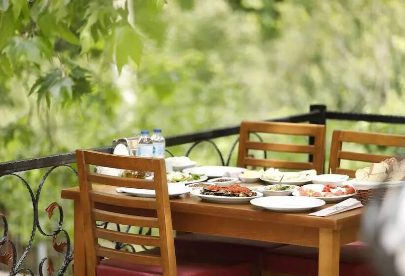 Hotelli Ahsen Pansiyon