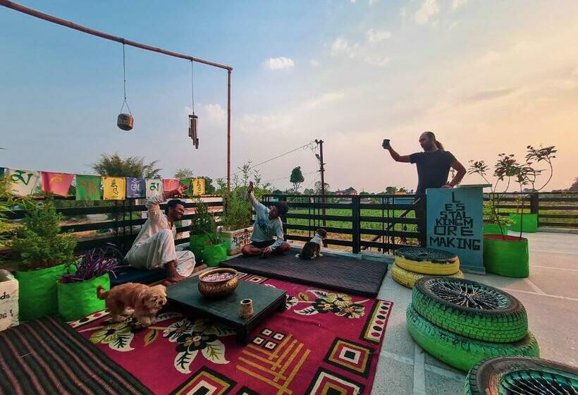 Vandrarhem Sun N Soil Backpacker