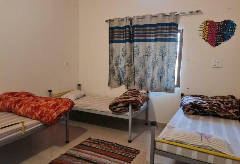 Vandrarhem Sun N Soil Backpacker