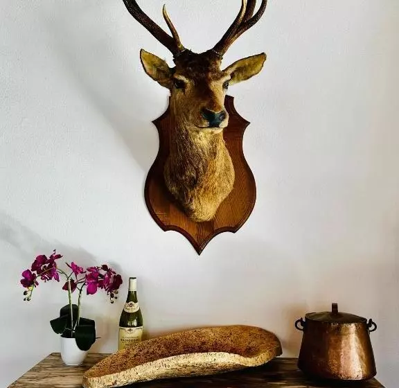 Hl Hotel De La Loire