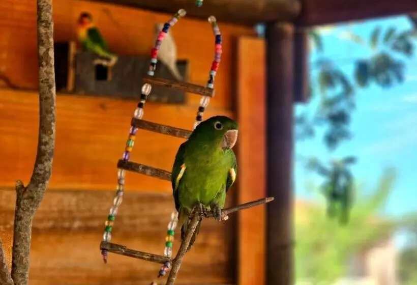 ホテル Fazenda Villa Vitta