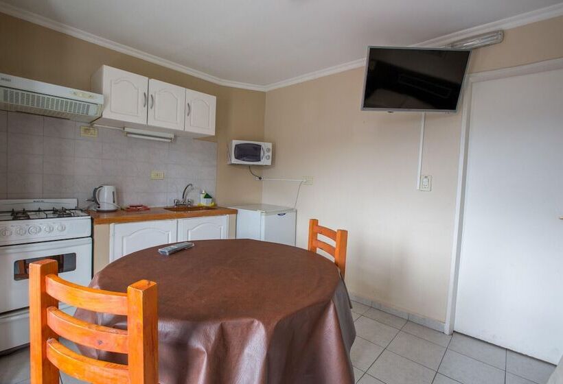 فندق Departamentos Antu Mahuida