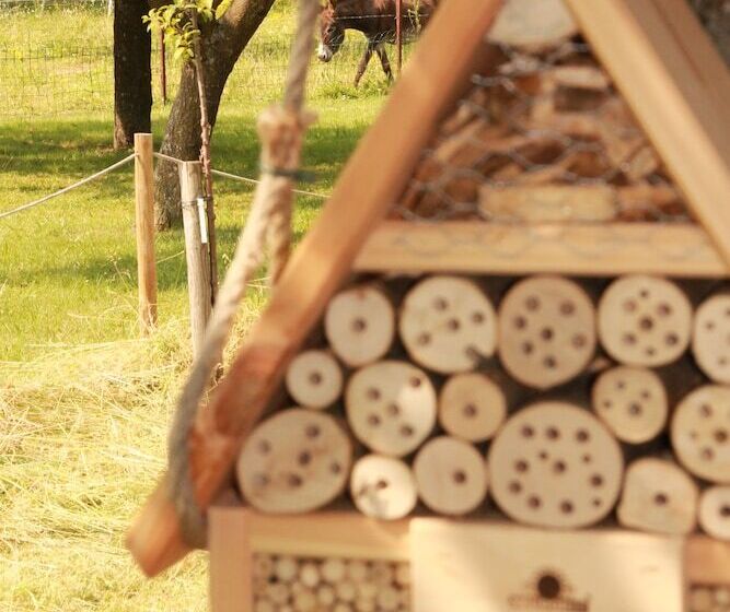 Bed and Breakfast Au Coins Des Jardins