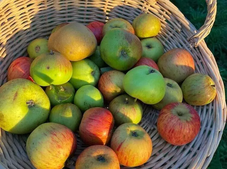 住宿加早餐 Château La Rametière