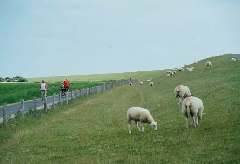 בית מלון כפרי Astra Maris