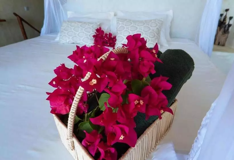 Hotel Casa Na Praia Tofo  Beach Front