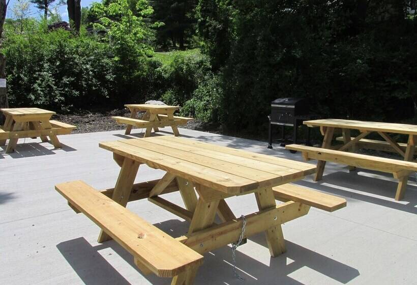 ホテル Crystal Springs Inn And Suites