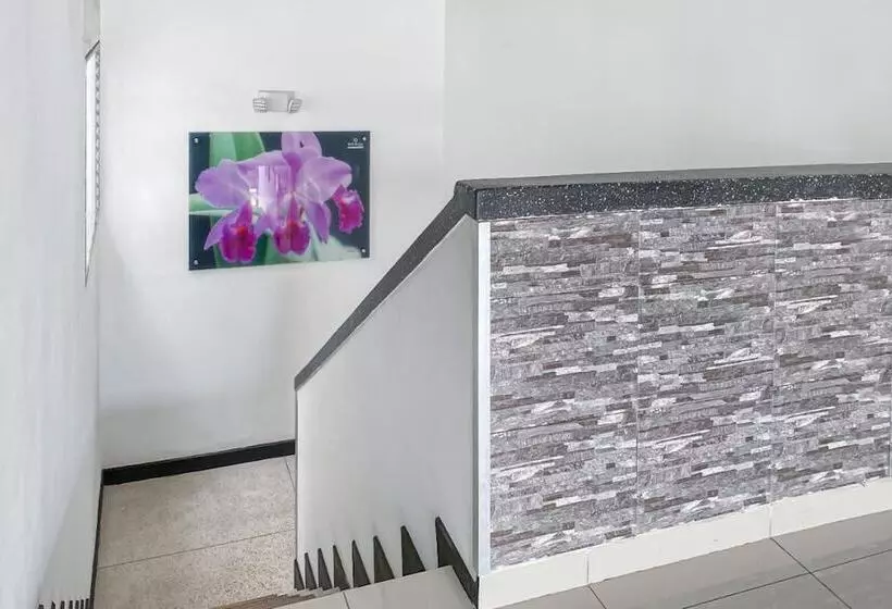 בית מלון כפרי Suite Center Pereira