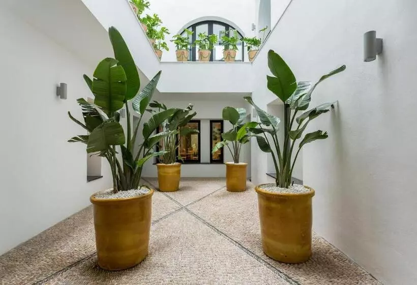 Hotel Room Mate Valeria