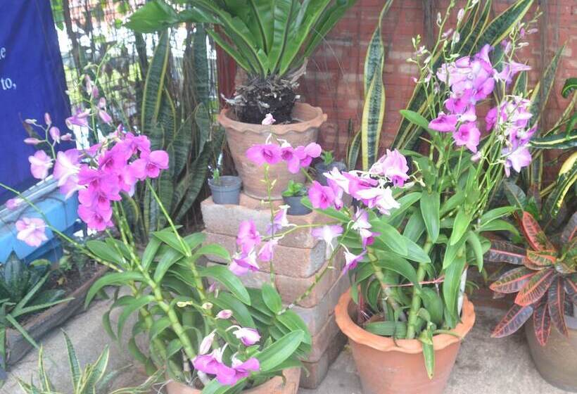 فندق Sananwan Palace