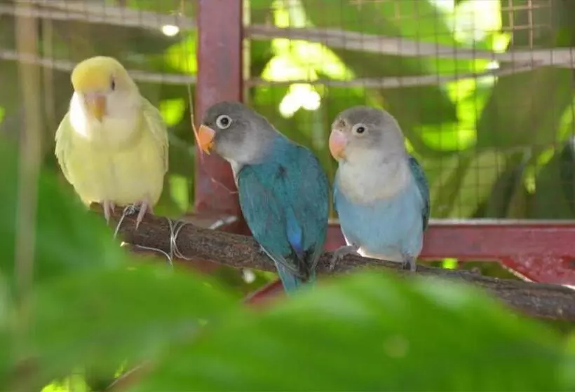 Hotel Sananwan Palace