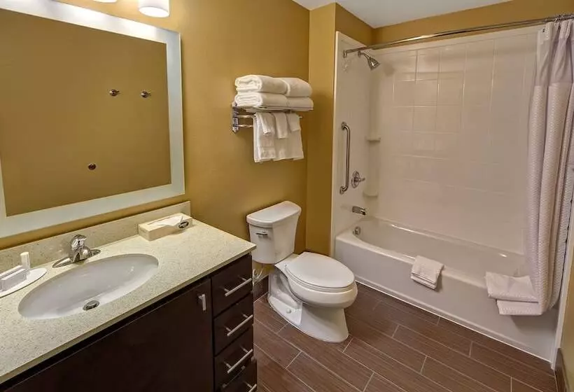 酒店 Towneplace Suites By Marriott Hattiesburg